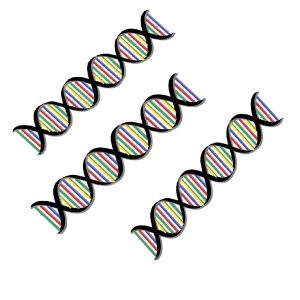 Pacchetto colore 7PC (Locus A, B, D, E, K, S, I)