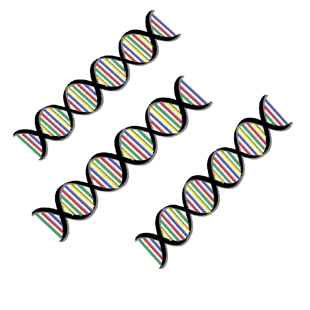 Pacchetto colore 7PC (Locus A, B, D, E, K, S, I)